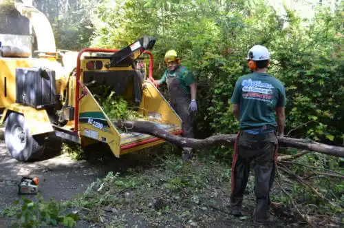 tree services Waverly